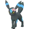 Umbreon (null)
                      
                       - Spring 2023 Shiny Image