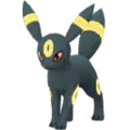 Umbreon
                 Image