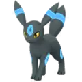 Umbreon (null)
                       - form_2848
                       Shiny Image