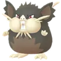 Raticate
                 - Alola Image