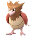 Spearow
                      
                       Image