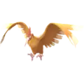 Fearow
                 Image