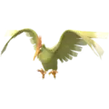 Fearow
                      
                       Shiny Image