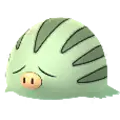 Swinub
                      
                       Shiny Image