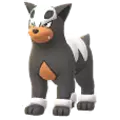 Houndour
                      
                       Image