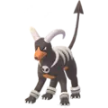 Houndoom
                 Image