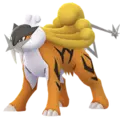 Raikou
                      
                       Shiny Image