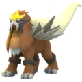 Entei
                      
                       Shiny Image