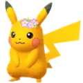 Pikachu
                      
                       - November 2018 Shiny Image