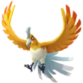 Ho-Oh
                      
                       Shiny Image