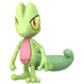 Geckarbor (Treecko)
                      
                       Image