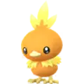 Flemmli (Torchic)
                      
                       Image