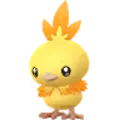 Flemmli (Torchic)
                      
                       Shiny Image