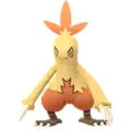 Jungglut (Combusken)
                      
                       Image