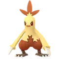 Combusken
                      
                       Shiny Image