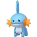 Mudkip
                 Image