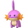 Hydropi (Mudkip)
                      
                       Shiny Image