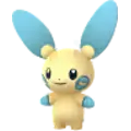 Minun
                      
                       Image