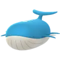 Wailord
                 Image