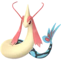 Milotic
                 Image