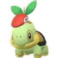 Turtwig
                      
                       - Gems 1 2021 Noevolve Image