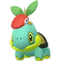 Chelast (Turtwig)
                      
                       - Gems 1 2021 Noevolve Shiny Image