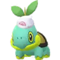 Chelast (Turtwig)
                      
                       - Gems 2 2021 Noevolve Shiny Image