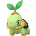 Turtwig
                      
                       Image