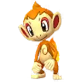 Chimchar
                      
                       Image