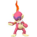 Panpyro (Monferno)
                      
                       Shiny Image