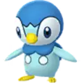 Piplup
                 Image