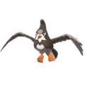 Staravia
                      
                       Image