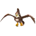 Staravia
                      
                       Shiny Image