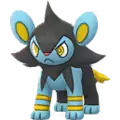 Luxio
                 Image