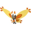 Moterpel (Mothim)
                      
                       Image