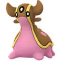 Gastrodon
                       - Westliches Meer
                       Image