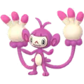 Ambipom
                      
                       Shiny Image