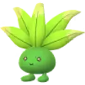 Oddish
                      
                       Shiny Image