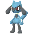 Riolu
                      
                       Image