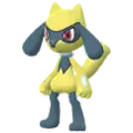 Riolu
                      
                       Shiny Image