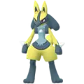 Lucario
                      
                       Shiny Image