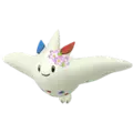 Togekiss
                      
                       - Safari 2020 Noevolve Shiny Image