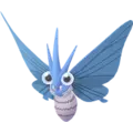 Venomoth
                      
                       Shiny Image