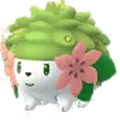 Shaymin
                       - Land Forme
                       Image