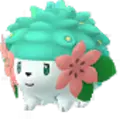 Shaymin
                       - Land Forme
                       Shiny Image