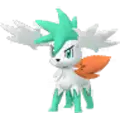 Shaymin
                       - Sky Forme
                       Shiny Image