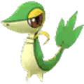 Snivy
                 Image