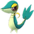 Snivy
                      
                       Shiny Image