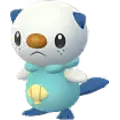 Ottaro (Oshawott)
                      
                       Image