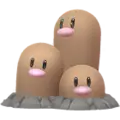 Digdri (Dugtrio)
                      
                       Image